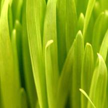 长期批发价的小黑ddos压力测试平台