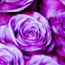 ip攻击器网页版ddos